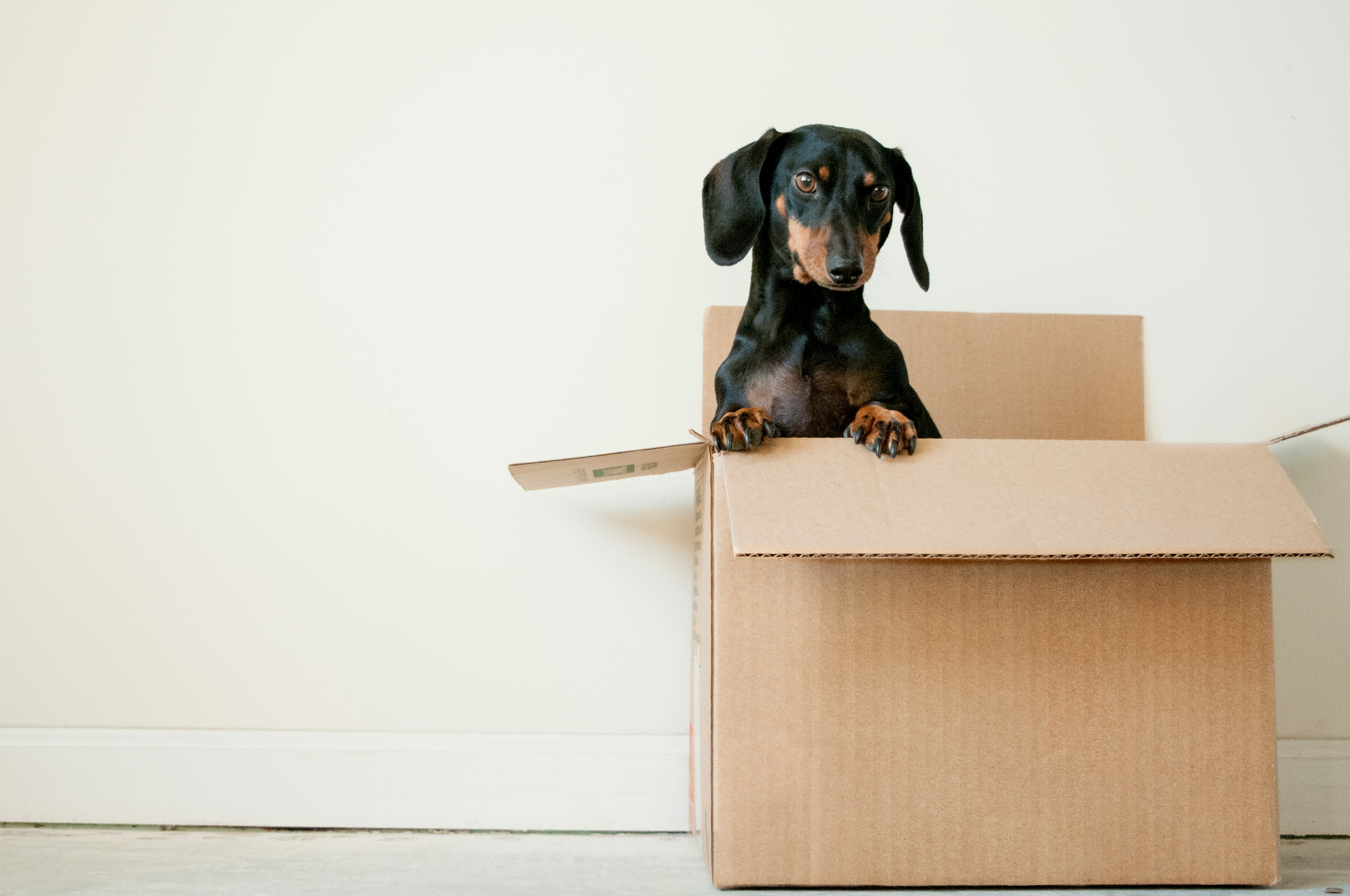 Tips to Make Your Moving Day Stress-Free